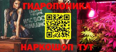 шишки Ликино-Дулёво
