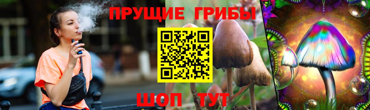 Гагарин  купить наркотики сайты  Вход с VPN  Галлюциногенные грибы Magic Shrooms 